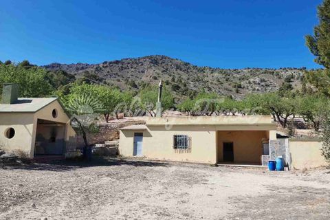 Masia a Salinas, Alicante, Salinas - € 85.000 | Ref: SF0447 - foto 26